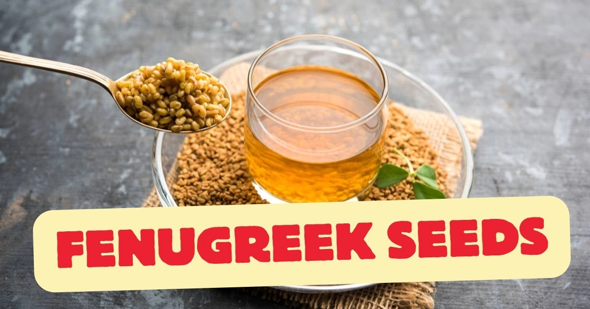 Fenugreek Seeds